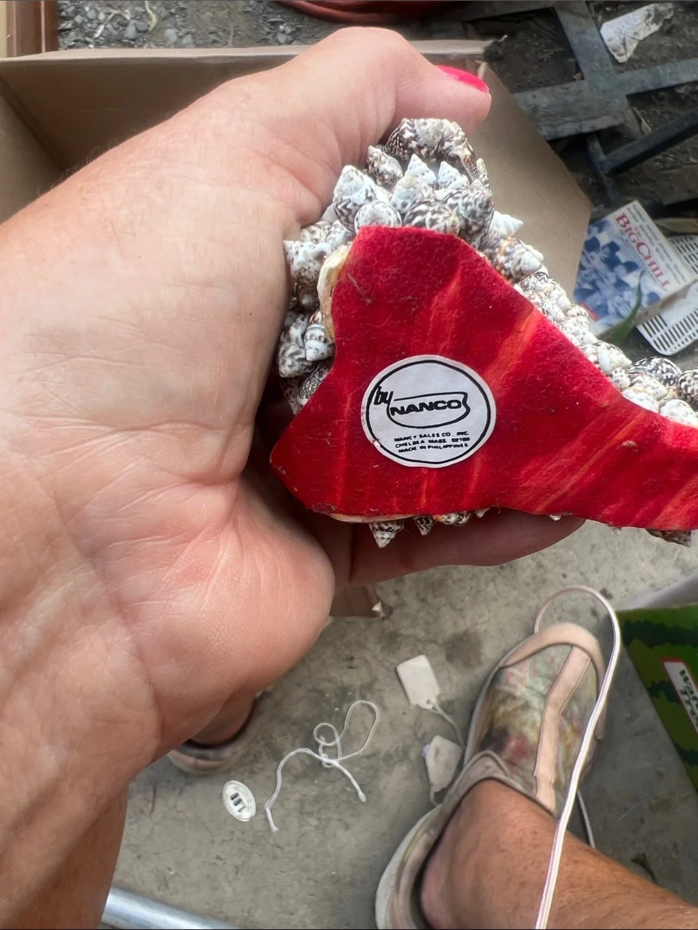 Narco decorative seashell